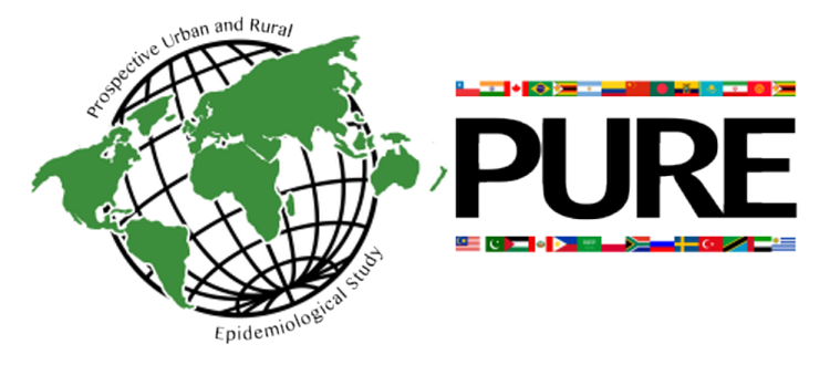PURE (PROSPECTIVE URBAN AND RURAL EPIDEMIOLOGICAL STUDY)